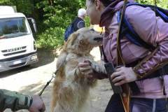 Coccole1