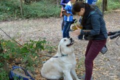 Ma-che-bel-cane